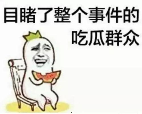 娱乐吃瓜酱南北方差异,娱乐吃瓜酱带你领略南北文化碰撞